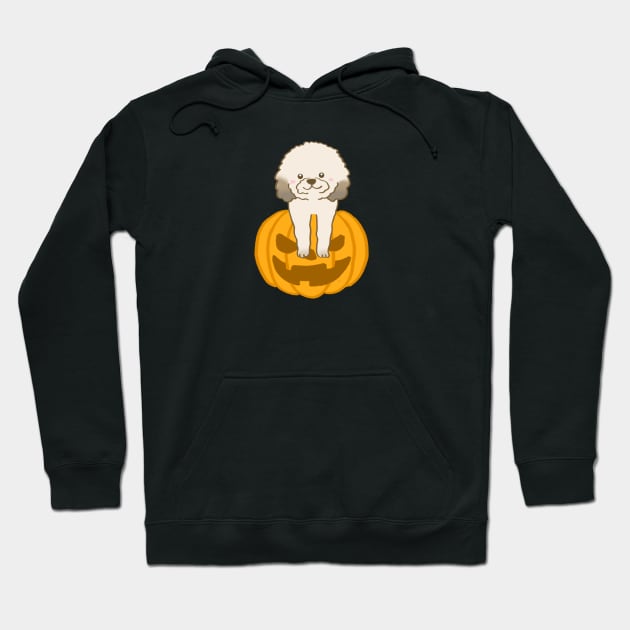 halloween pumpkin dog Hoodie by ballooonfish